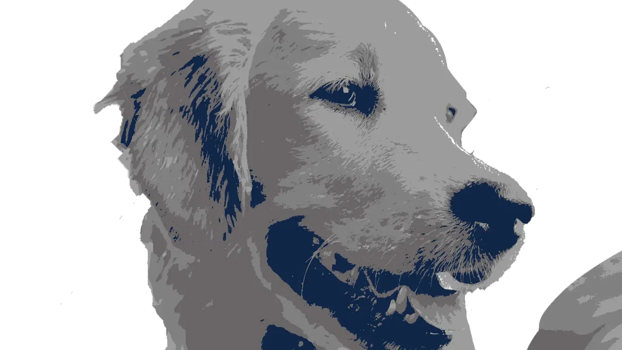 Finished multi-layer cut-ready stencil made from the dog photo
