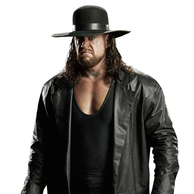Undertaker sample image
